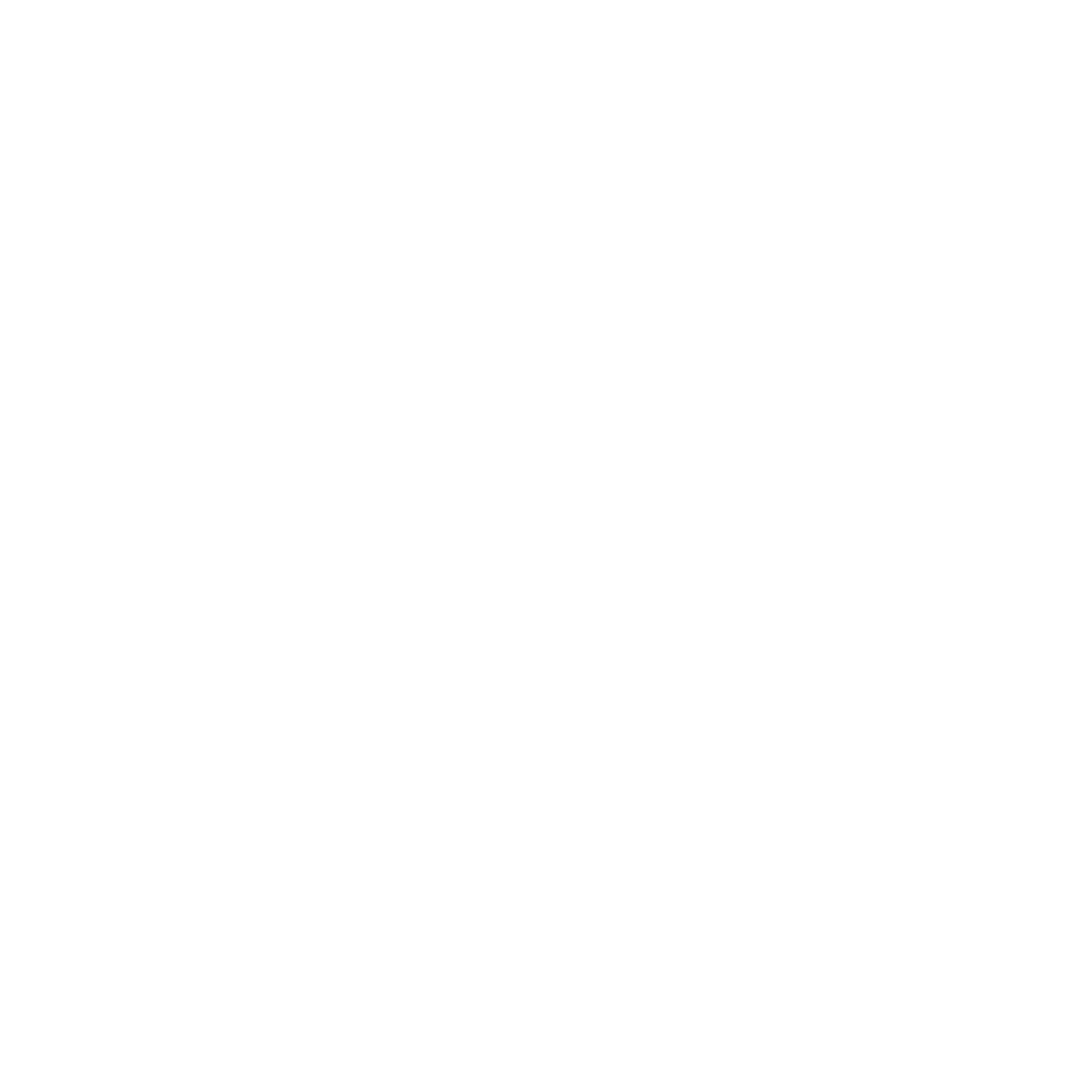FailSafe North Texas FailSafe North Texas Logo